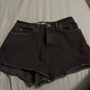 Idyllwind Black Jean Shorts for Women